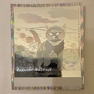 Scholastic Holographic Cat Art in Gray and Silver